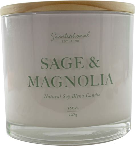 Amazon.com: Scentsational - Sage & Magnolia 26 oz. Candle : Home & Kitchen