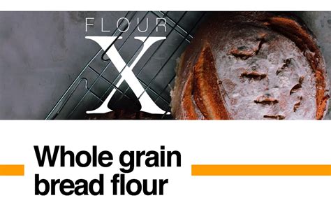 TWF Flour X | 6 Kg | Whole Grain Strong Bread Flour | High Protein ...