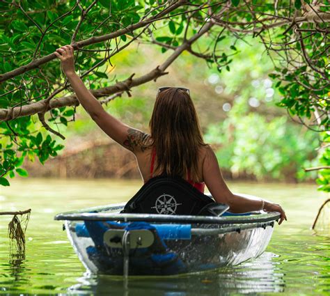 Image result for Kayaking Shell Key Preserve