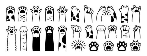 Desenho de pata, rabisco, gatos fofos, patas, conjunto de ícones ...