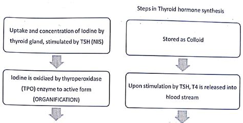 Organ Function Tests - Medical Science Optional Notes for UPSC PDF Download