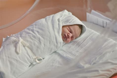 Humans Actually Making a Baby 的图像结果