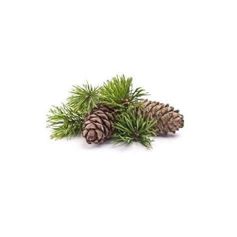 KEDAR - Etarsko ulje | Crystal Lab