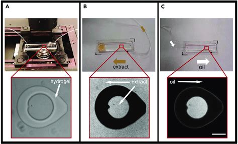 Image result for Microfludics Cell Encapsulation