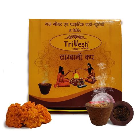 TRIVESH Pure Sambrani Cups for Pooja, Havan Cups for Pooja, Home ...