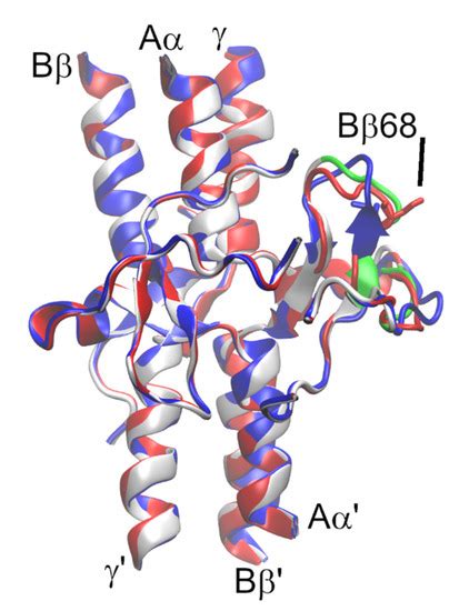 Structural and Functional Characterization of Four Novel Fibrinogen ...