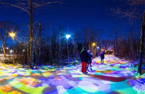 10 Fascinating Canada Train Journeys That You Must-Take!