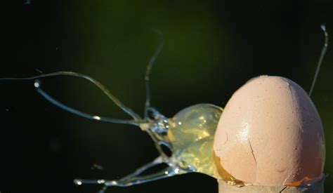 Exploding Easter Eggs 的图像结果