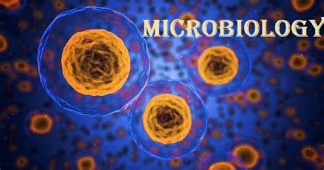 The Future of Microbiology - BioTechs World — Teletype