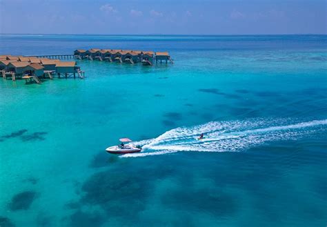 Centara Ras Fushi Resort & Spa Maldives Room Service: Pictures ...