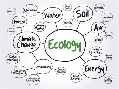 Environmental Science Concept Map 的图像结果