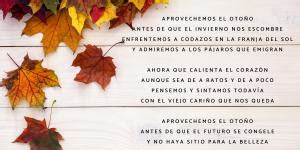 10 poemas de San Valentín - ¡Descubre estas poesías para sorprender a ...