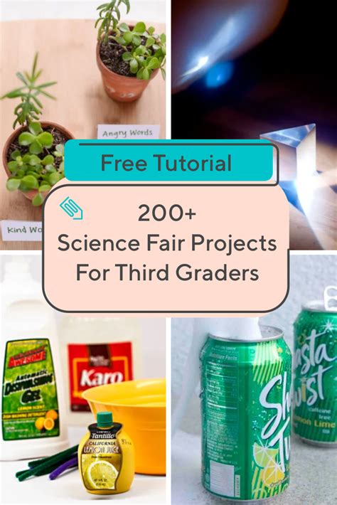 3rd Grade Science Fair Projects 的图像结果