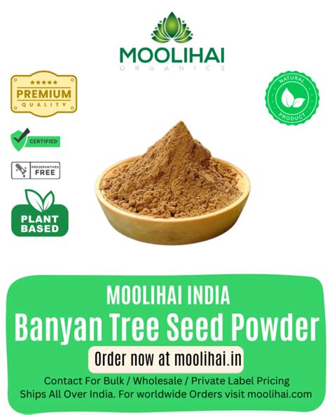 Aalam Vithai / Banyan Tree Seed Powder/Ficus Benghalensis- 100 gm ...