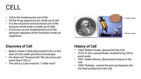 Cell_Fundamental of Life (1).pdf