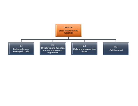 Cell Structure Mind Map 的图像结果