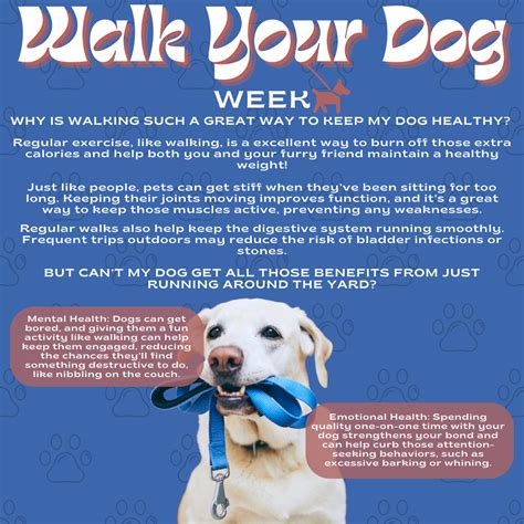 Black Creek Animal Hospital | Dr. Parul Musaddy graduated from the ...