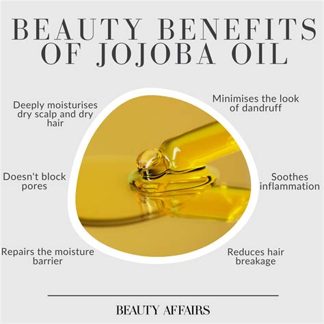 13 reasons why you should be using jojoba oil every day – Artofit