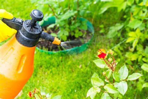How to Destroy Pests Without Chemicals – Ugaoo