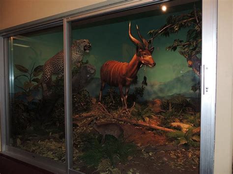 MUSEUM OF YORK COUNTY - All You SHOULD Know Before Going 2026 (with ...
