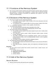 Image result for Nervous System Introduction