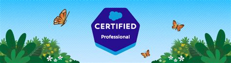 Image result for Salesforce Developer RoadMap