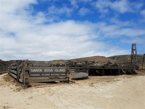 Santa Rosa Island, 2016 - A Skirt In The Dirt
