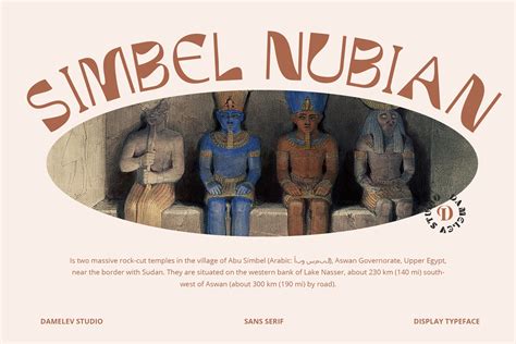 Image result for Cheops API Connecotr