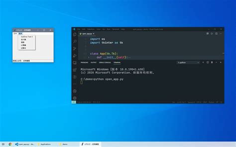 Python Windows Startup Script 的图像结果