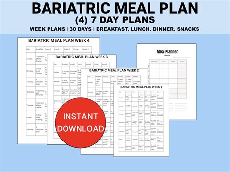 Bariatric Meal Plan Printable PDF 7 Day Plans one Month Total With ...