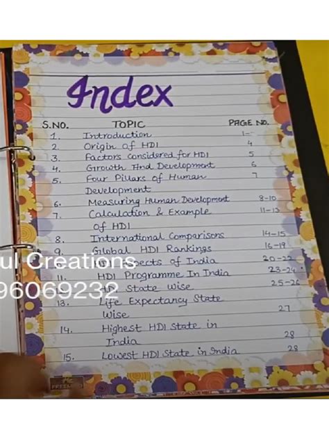 Class 11 Human Development Index Project Economics 的图像结果