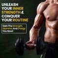 Himalayan Organics Testosterone Booster Tablets for Energy Boost ...