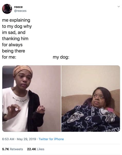 Image result for Explainer Video Meme