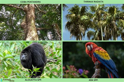 Image result for Threshold Image Using OpenCV