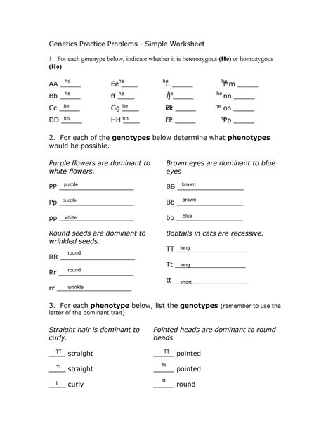 Image result for Simple Genetics Practice Problems Answer Key