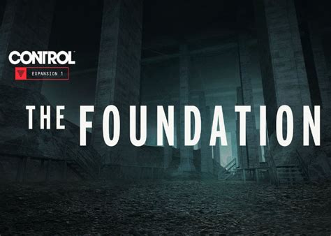 Image result for Control Foundation Chasm