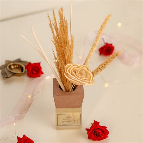 Aroma Diffuser 50 ml - Citronella – Shades of Spring