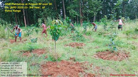 Odisha State Compensatory Afforestation Fund Management and Planning ...