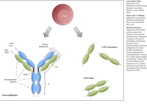 Figure 1 from Cerebrospinal fluid kappa free light chains for the ...