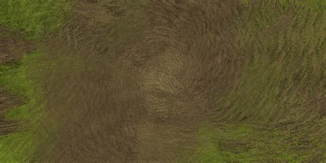 Image result for Equirectangular Forest