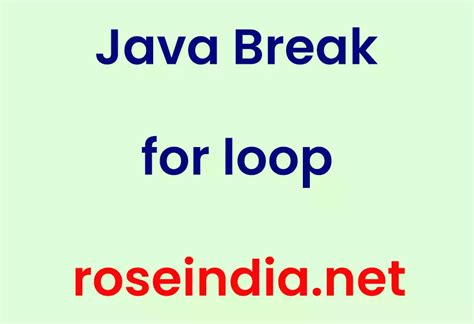 Image result for Break Java for Loop