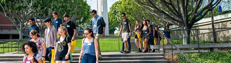 Image result for How to Apply to CSULB