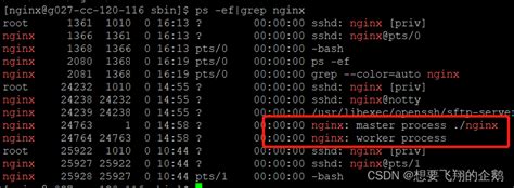 Linux重启nginx服务-CSDN博客