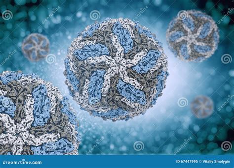 Dengue Virus Digital Image Structure. Stock Illustration - Illustration ...