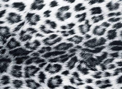 Snow Leopard Backgrounds - Wallpaper Cave