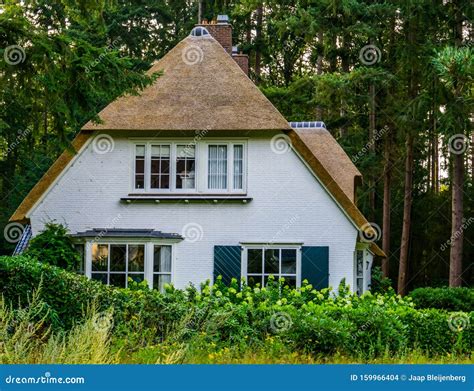 Typical Dutch House in a Forest with a Classical Thatched Roof, Rural ...