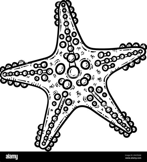 Starfish Clip Art Black And White