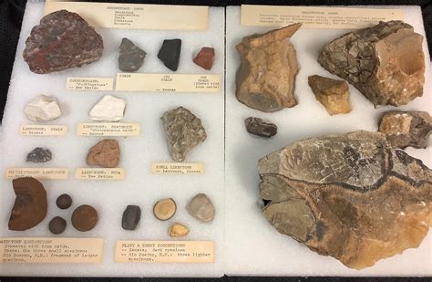 Lot - 23 total Sedimentary rock specimens that include sandstone and ...