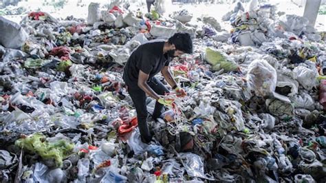 Life Underwater is Perishing: This 'Marine Cemetery' is a Red Alert