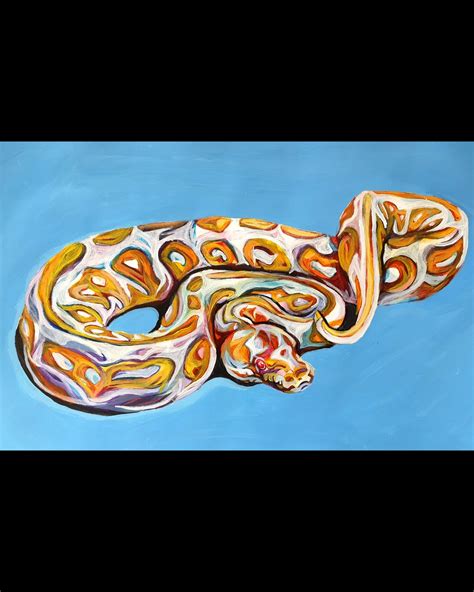 Image result for Yellow Albino Python Drawing